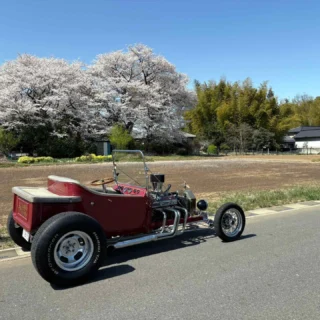 Ｔバケ日和り。

#bitokulife