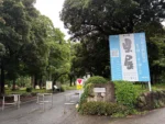 午前中、県展を見に県立美術館へ。
友人嘉白さんの作品、ますます磨きがかかって来た感じで、素晴らしい👍
彫刻はもとより日本画洋画、写真と見応えたっぷり。モチベをたくさん頂きました。
なかなかお尻が重たいので、こういう展示を見にいくキッカケをくれたことに感謝感謝。
最後の写真は、ここで一番好きな空間♫